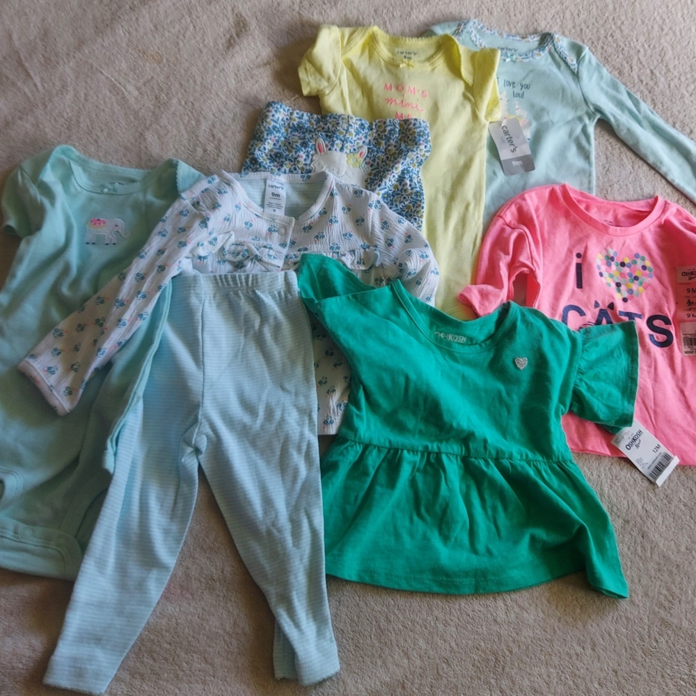 baby girl lot 9 month NWT